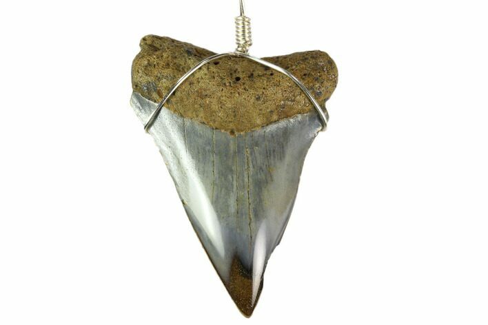 Fossil Mako Shark Tooth Necklace #130372